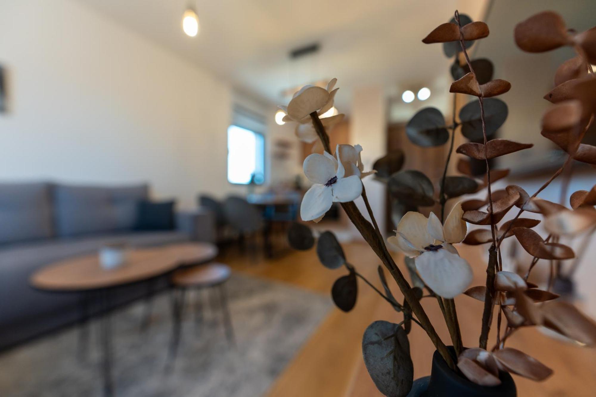 Apartment Fantasy Zlatibor
